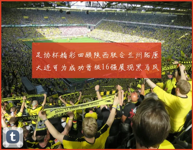 足协杯精彩回顾陕西联合兰州陇原大连可为成功晋级16强展现黑马风采